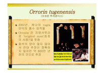 인류의 기원과 진화-4