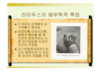 인류의 기원과 진화-6