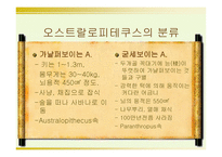 인류의 기원과 진화-8