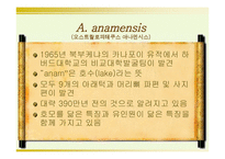 인류의 기원과 진화-9