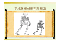 인류의 기원과 진화-12
