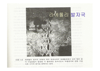 인류의 기원과 진화-13
