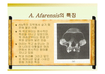 인류의 기원과 진화-14