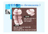 X염색체의 비밀-3