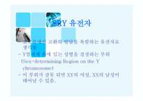 X염색체의 비밀-7