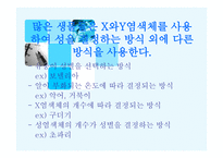 X염색체의 비밀-8