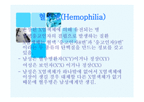X염색체의 비밀-9