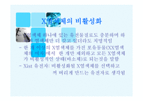 X염색체의 비밀-13