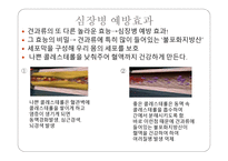 껍질 속의 영양 견과류의 비밀-4