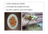 껍질 속의 영양 견과류의 비밀-10