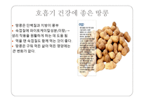 껍질 속의 영양 견과류의 비밀-18