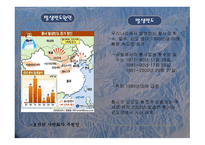 황사가 인간에게 미치는 영향-2