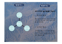 황사가 인간에게 미치는 영향-4