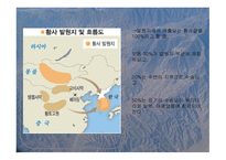 황사가 인간에게 미치는 영향-5