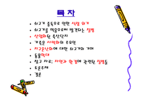 쇠고기와 환경 레포트-2