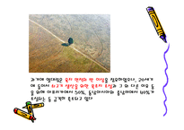 쇠고기와 환경 레포트-11