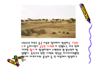 쇠고기와 환경 레포트-13