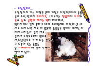 쇠고기와 환경 레포트-20