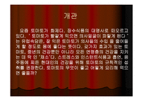 토마토와 건강 레포트-3