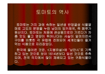 토마토와 건강 레포트-4