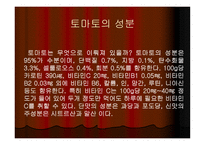 토마토와 건강 레포트-5