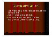 토마토와 건강 레포트-6