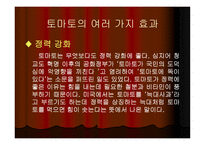 토마토와 건강 레포트-7