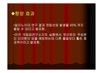 토마토와 건강 레포트-8