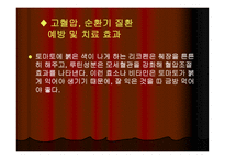 토마토와 건강 레포트-10