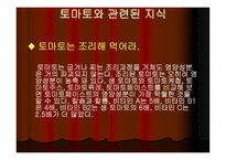 토마토와 건강 레포트-15