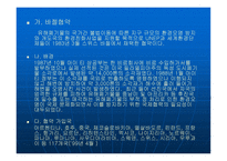 세계 환경협약 레포트-13