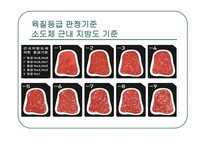 소고기 사례조사-8