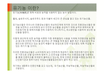 건강음식 보고서-6