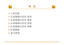대체에너지의 중요성-2
