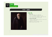 동물실험 레포트-11