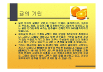 감귤의 특성과 효과-4