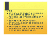 감귤의 특성과 효과-10