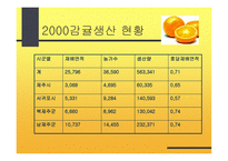 감귤의 특성과 효과-15