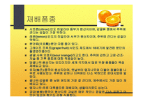 감귤의 특성과 효과-18