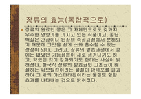 건강 과식 품 영양 고유의 장과 우리 몸에 미치는 영향-2