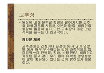 건강 과식 품 영양 고유의 장과 우리 몸에 미치는 영향-12