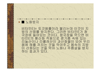 건강 과식 품 영양 고유의 장과 우리 몸에 미치는 영향-16