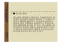 건강 과식 품 영양 고유의 장과 우리 몸에 미치는 영향-17