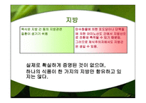 채식주의 보고서-18