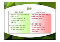 채식주의 보고서-20