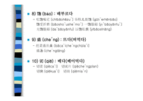 중국어 속의 색과 음식-14