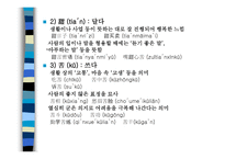 중국어 속의 색과 음식-16