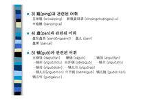중국어 속의 색과 음식-20