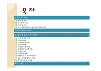 걷고 싶은 도시 프라이부르크-2