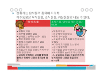 채식주의자의 식이와 영양-13